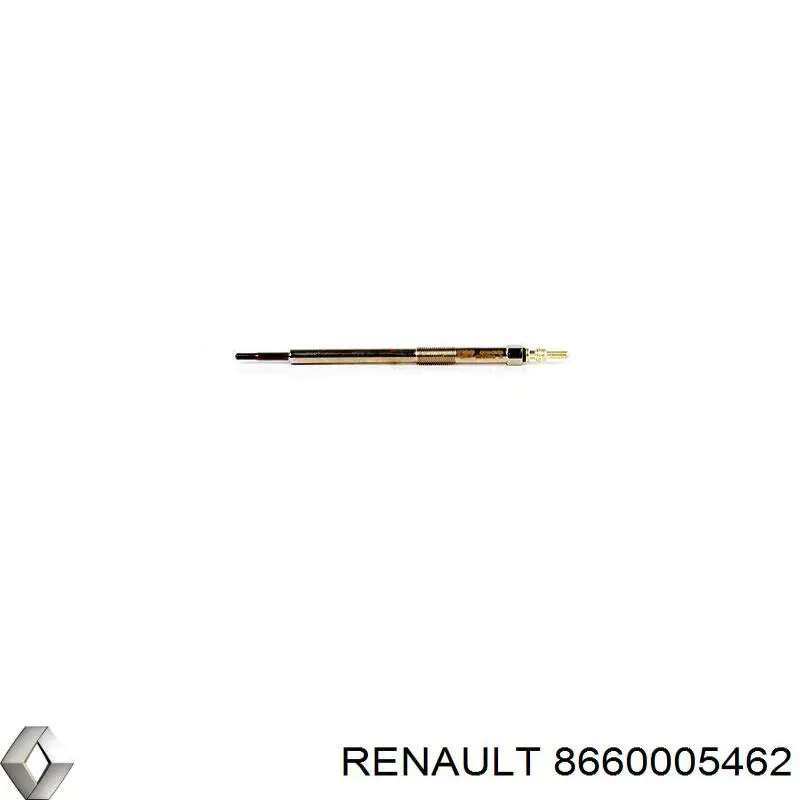 8660005462 Renault (RVI)