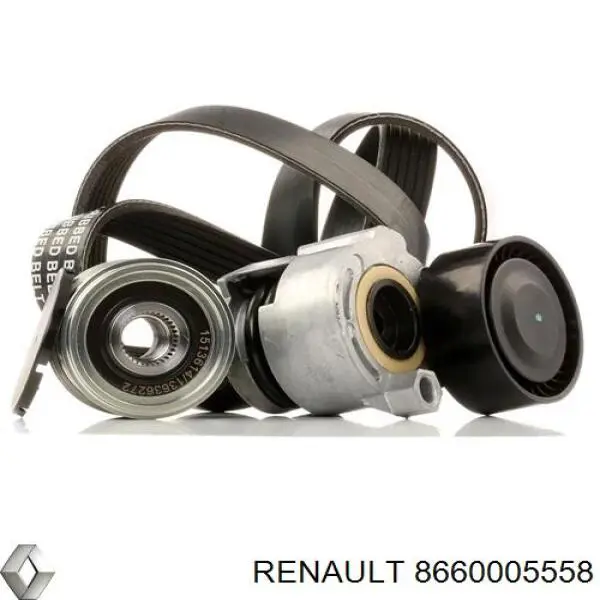 Tensor de la correa trapecial Renault (RVI) 8660005558 precio, desde 32,84 EUR
