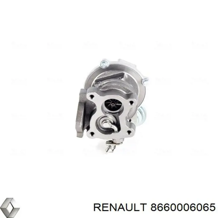 8660006065 Renault (RVI)