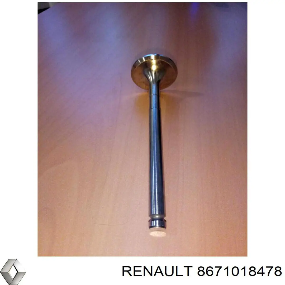 8671018478 Renault (RVI) correa distribución