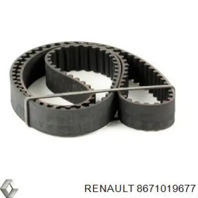 Comprar 8671019677 Renault (RVI) Correa distribución