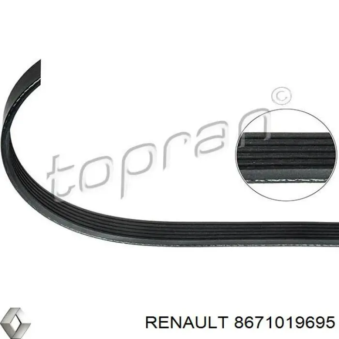 8671019695 Renault (RVI) correa trapezoidal