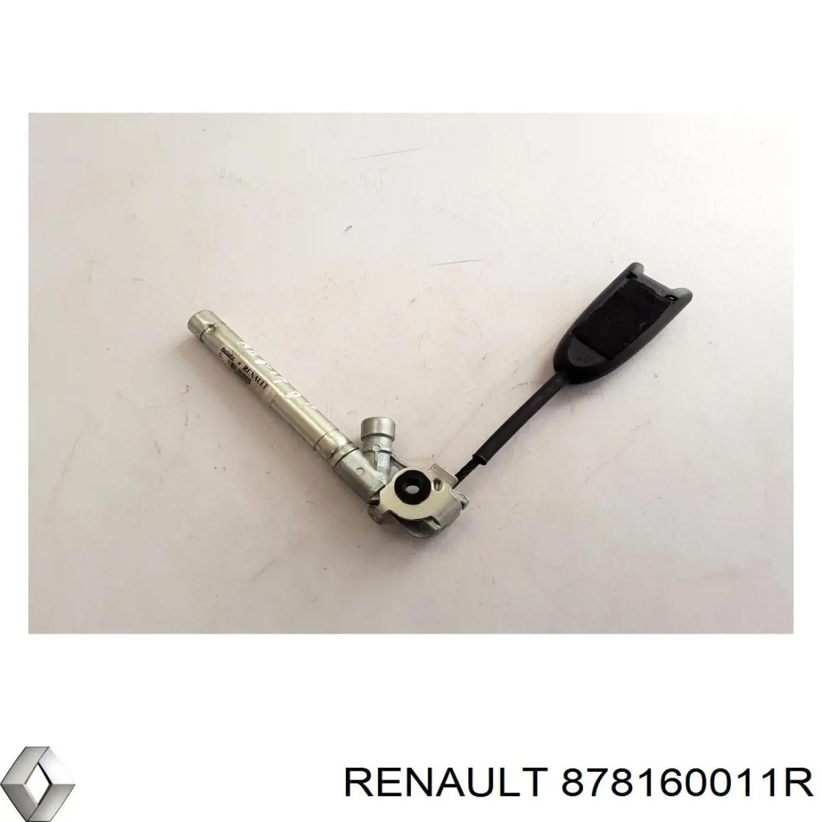 878160011R Renault (RVI)