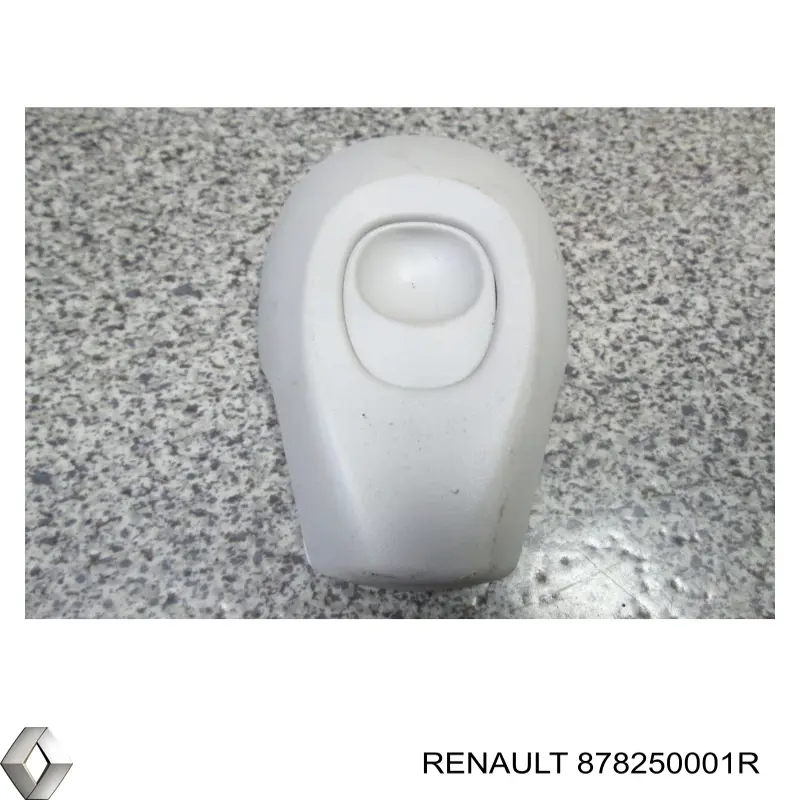 878259619R Renault (RVI)