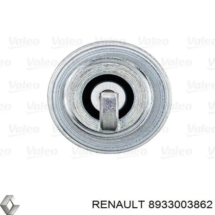 8933003862 Renault (RVI) bujía