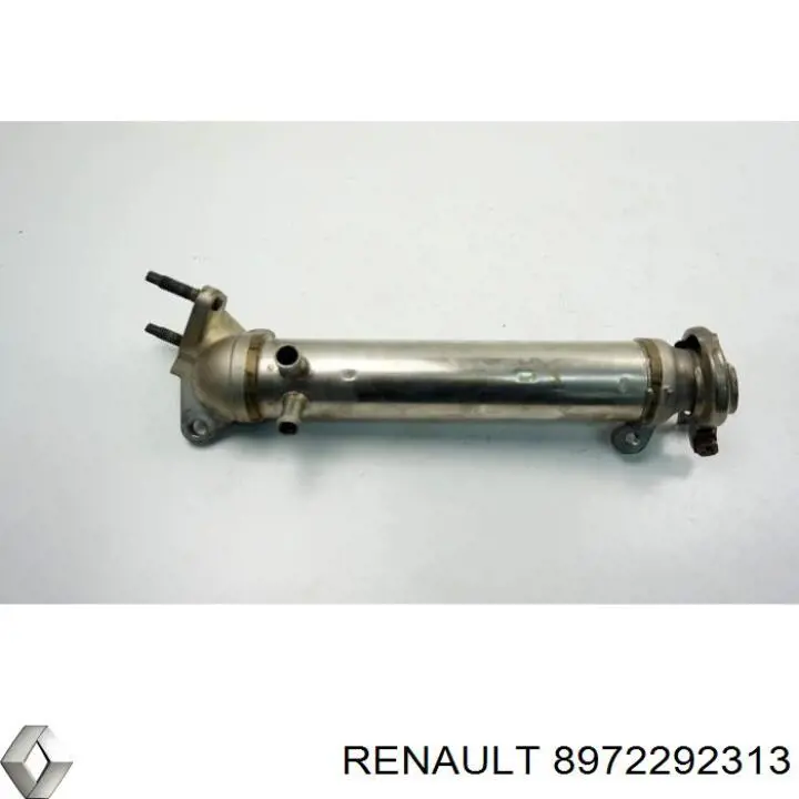 Comprar 8972292313 Renault (RVI) 