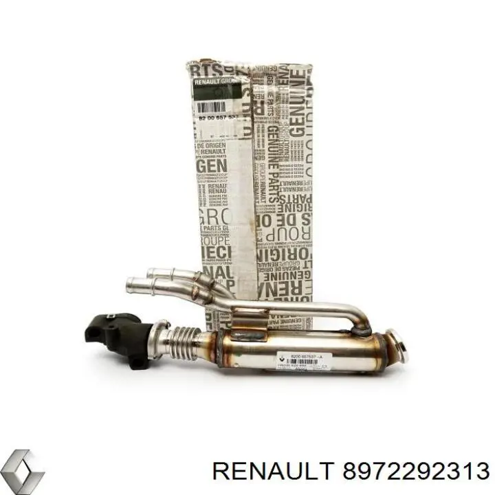  8972292313 Renault (RVI)