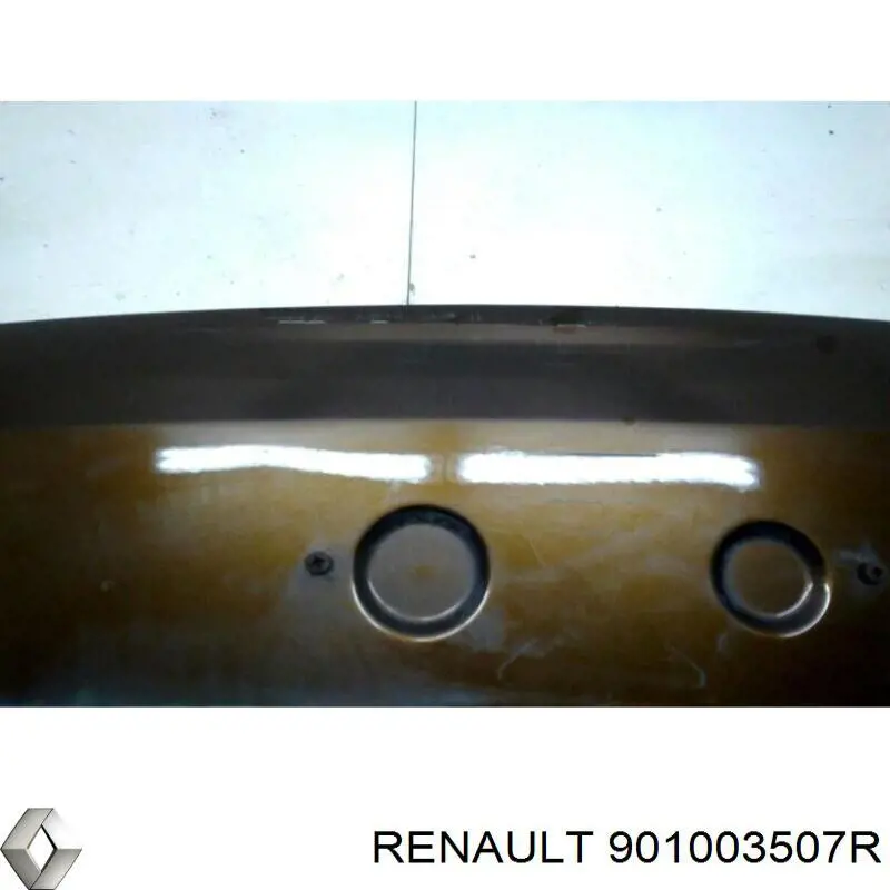  Puerta trasera Renault DUSTER 1