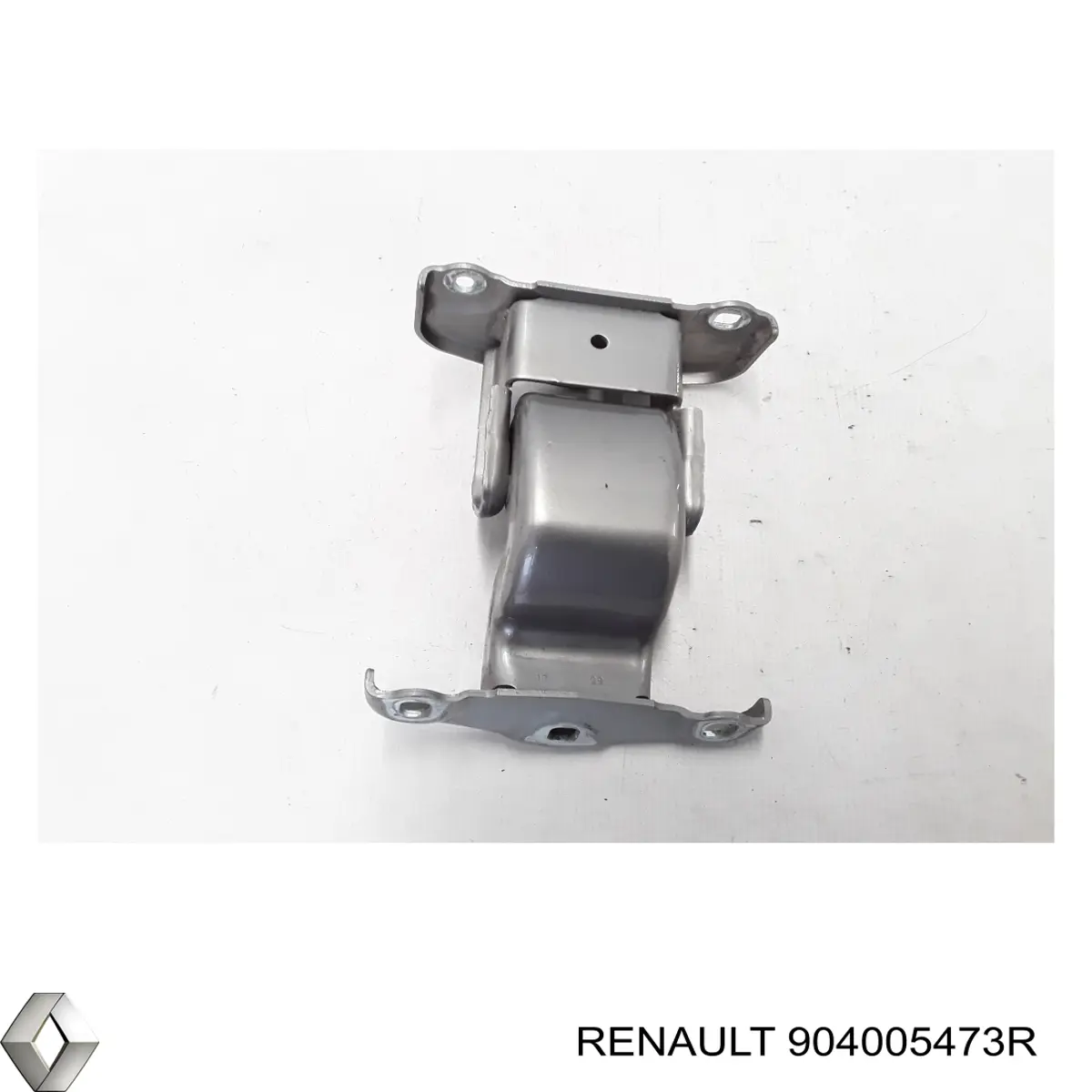 904005473R Renault (RVI)