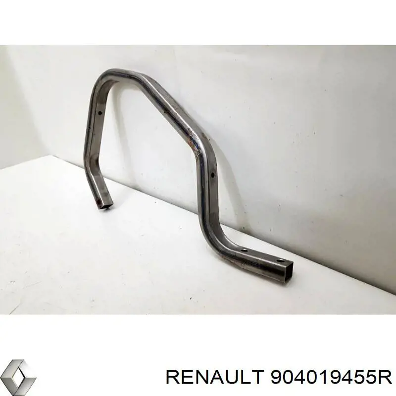 904019455R Renault (RVI)