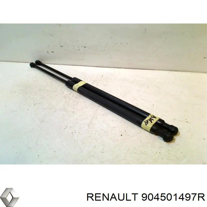 904501497R Renault (RVI)