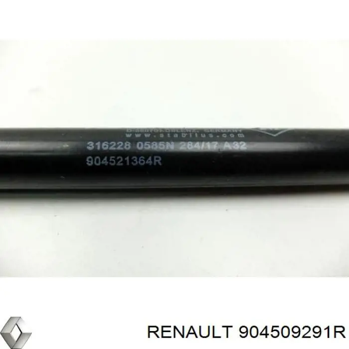  Amortiguador maletero Renault Scenic 