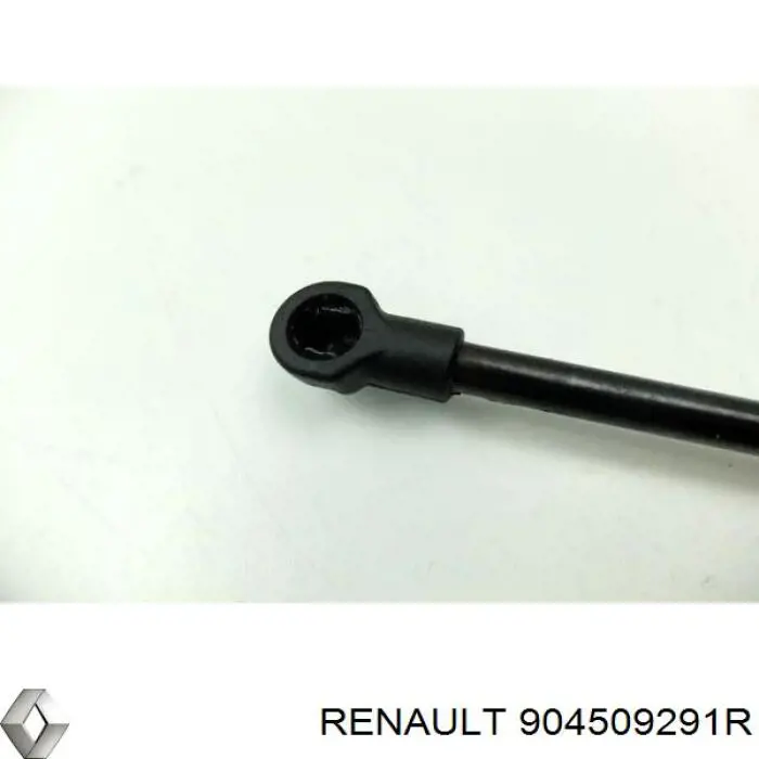 Muelle neumatico maletero QUINTON HAZELL QTS828572