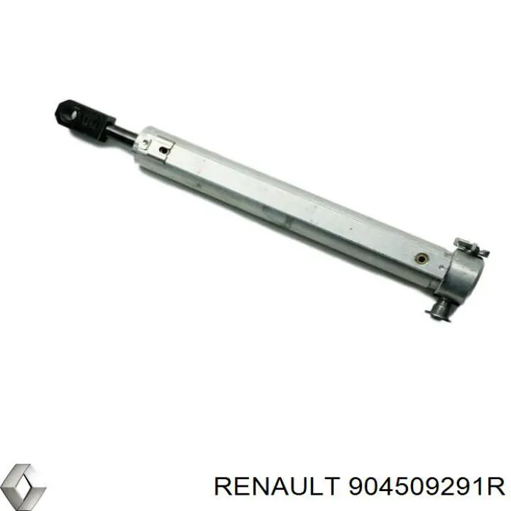 Amortiguador de maletero Renault Scenic GRAND IV monovolumen (R9) (2016 - 2023) precio, desde 24,61 EUR
