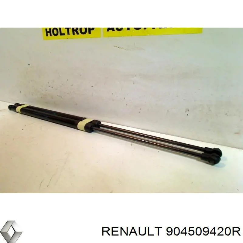 904509420R Renault (RVI)