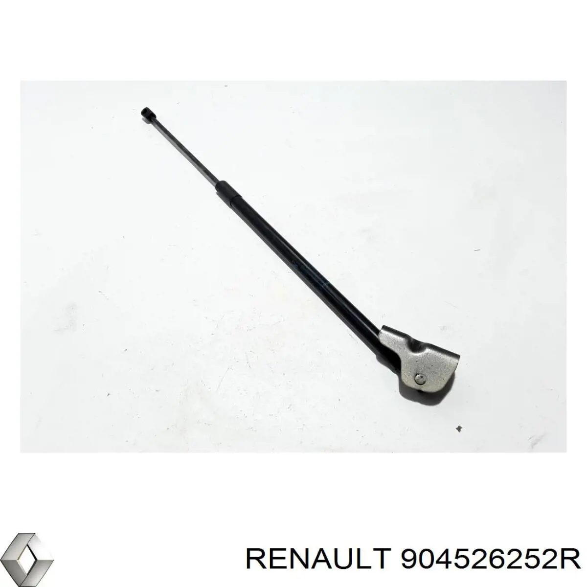 904526252R Renault (RVI)