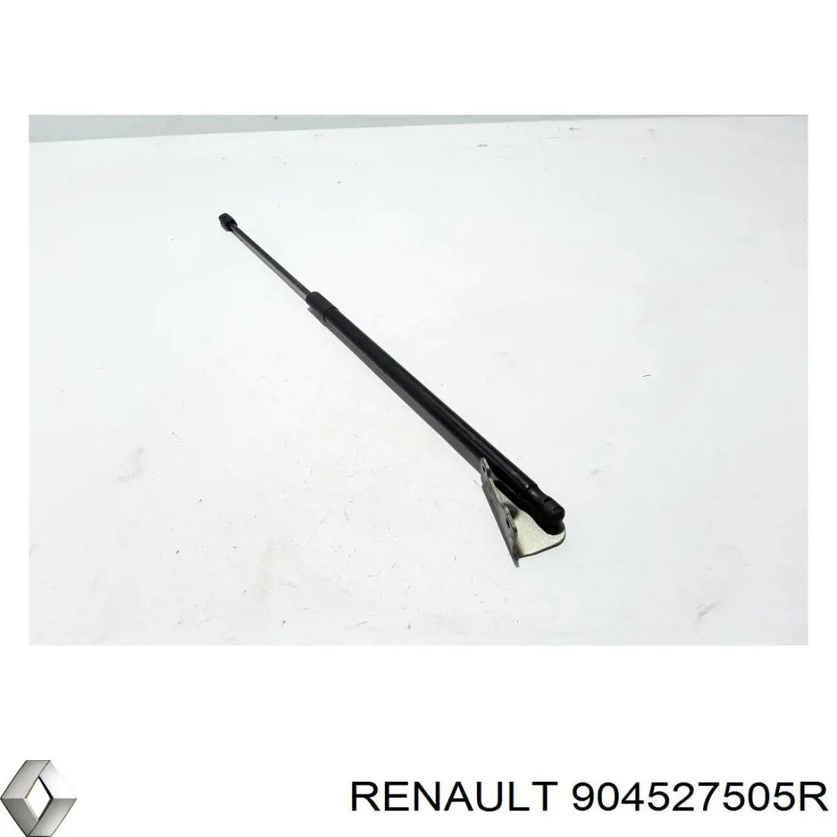 904527505R Renault (RVI)