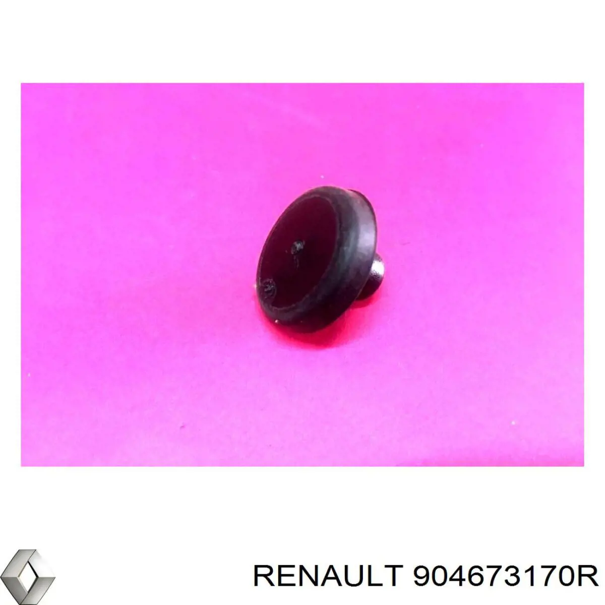 904673170R Renault (RVI) 