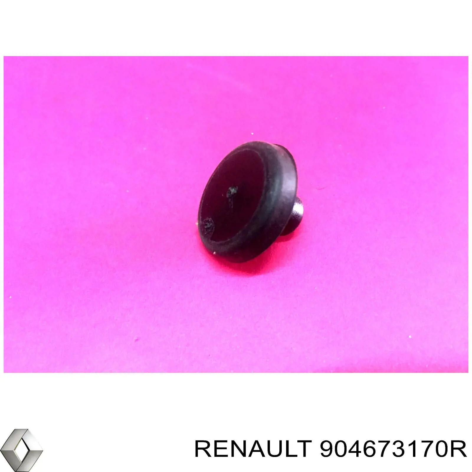  Renault (RVI) 904673170R precio, desde 16,64 EUR