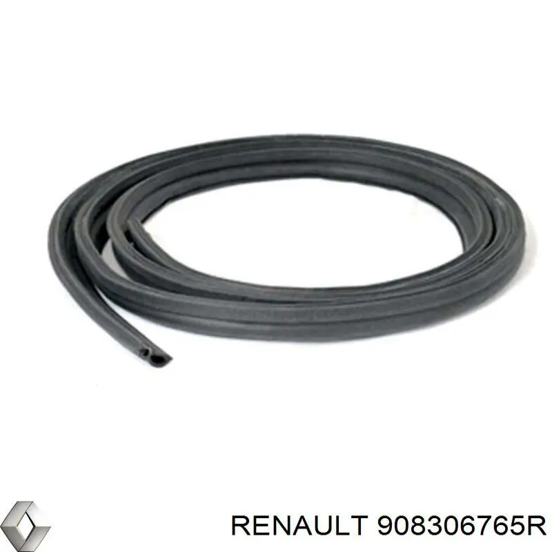 908306765R Renault (RVI)