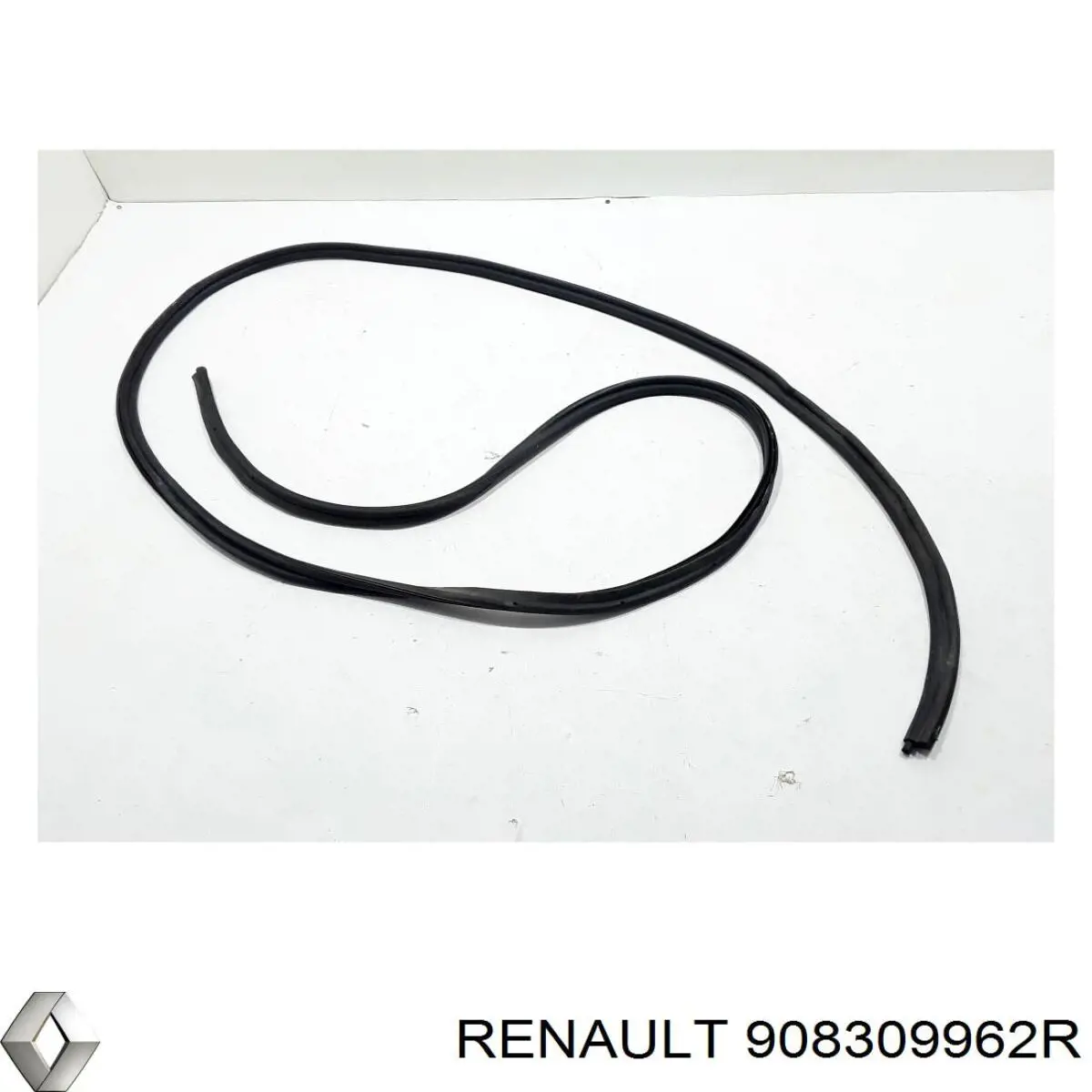 908309962R Renault (RVI)