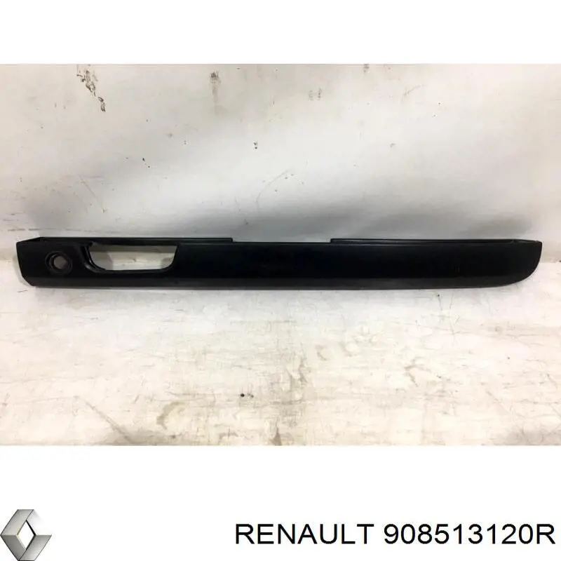 Moldura izquierda de la puerta trasera de doble hoja Renault (RVI) 908513120R precio, desde 50,82 EUR