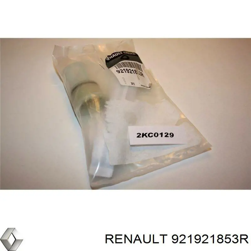 921921853R Renault (RVI) receptor-secador del aire acondicionado