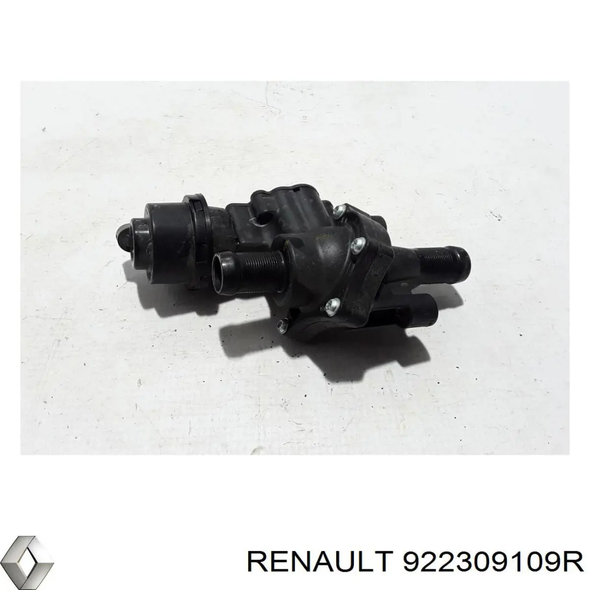 922309109R Renault (RVI) Termostato de agua