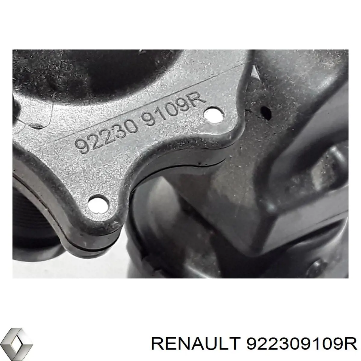 Termostato Renault (RVI) 922309109R precio, desde 76,96 EUR