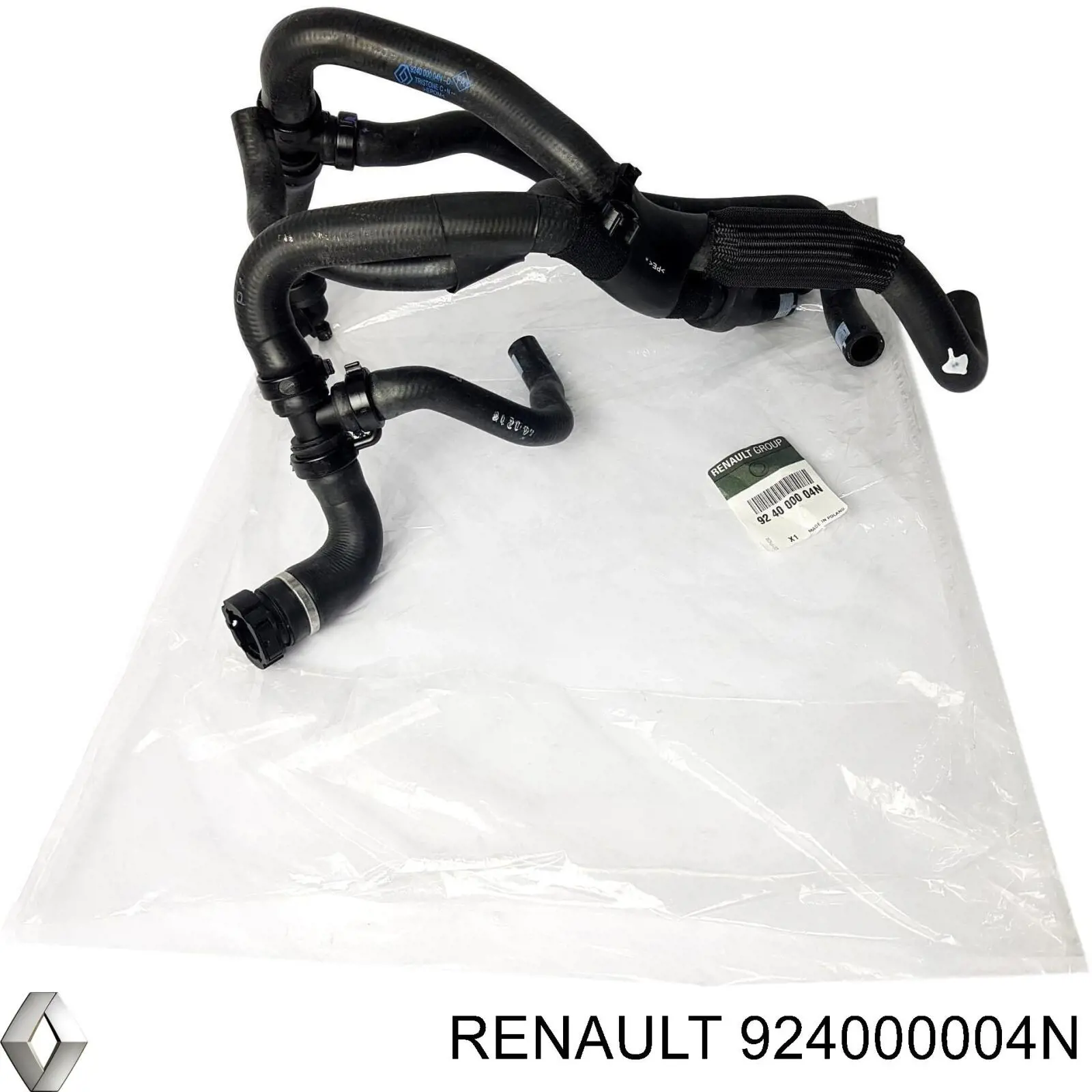 924000004N Renault (RVI) 