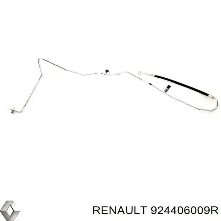924406009R Renault (RVI) 