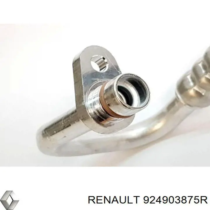 924903875R Renault (RVI)