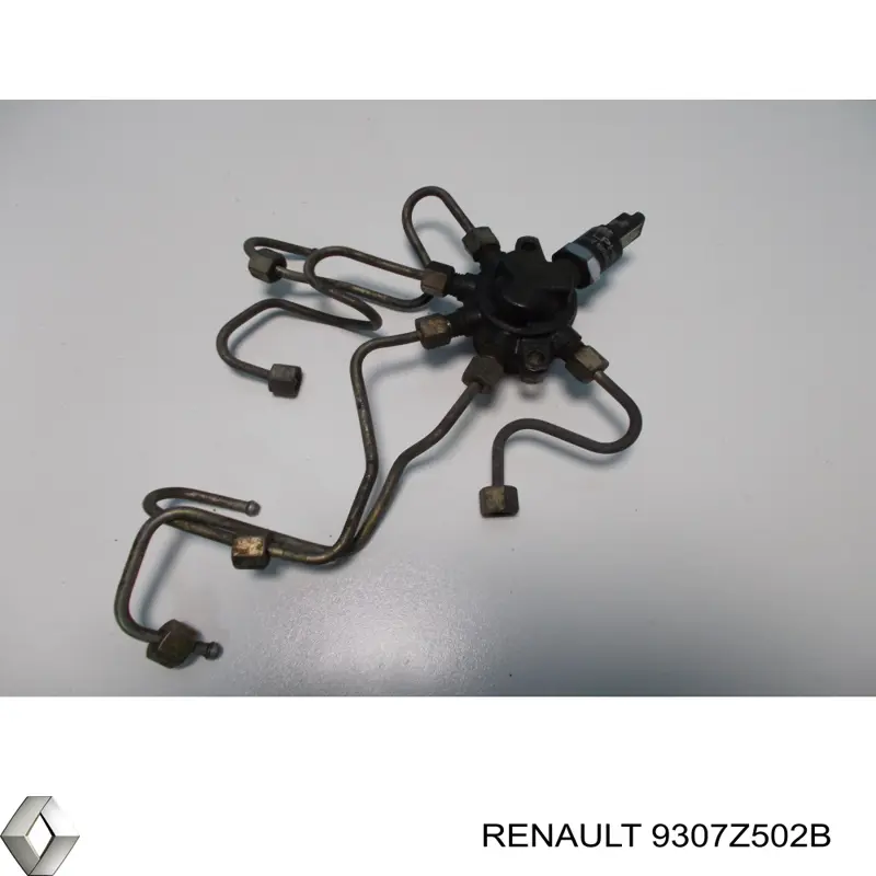Sensor de presión de combustible Renault (RVI) 9307Z502B precio, desde 63,89 EUR