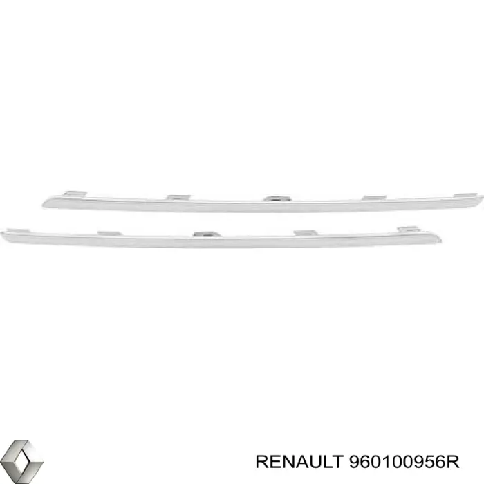 960100956R Renault (RVI)