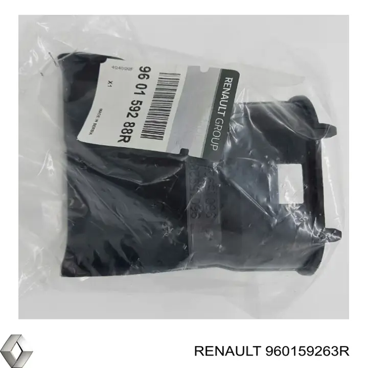 960159263R Renault (RVI)