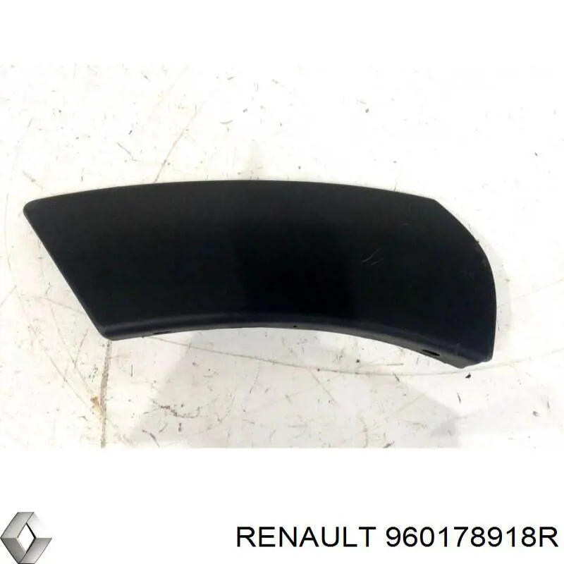 Extensor (cobertura) del arco del guardabarros delantero, kit completo Renault DUSTER (HS)