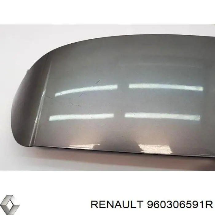 960306591R Renault (RVI)