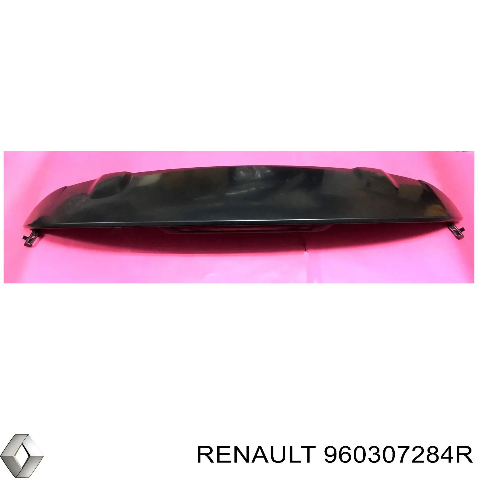 960307284R Renault (RVI)