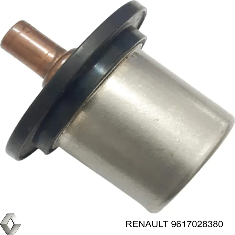 Termostato Renault (RVI) 9617028380 precio, desde 36,79 EUR