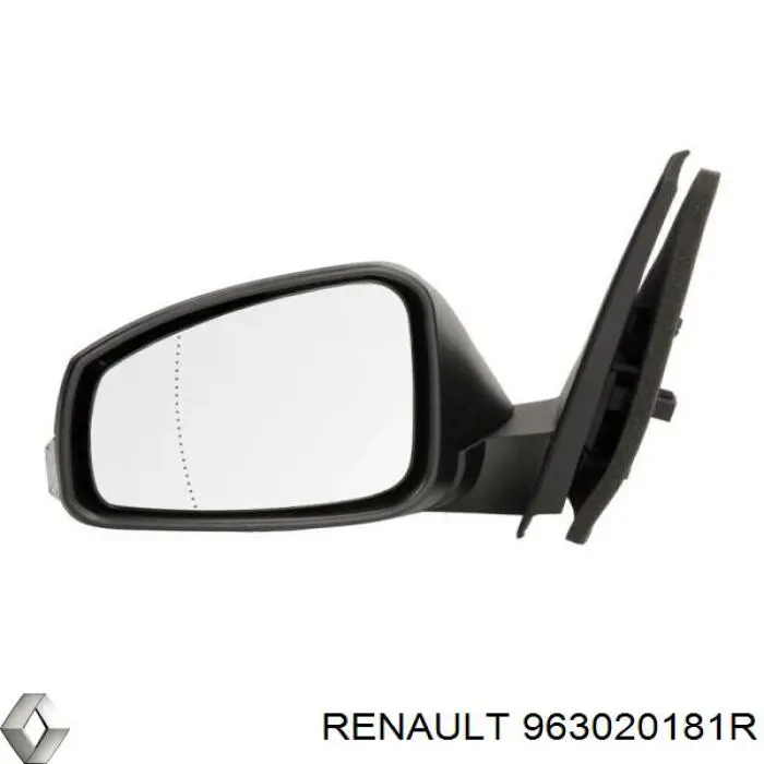 963020181R Renault (RVI) cubierta, retrovisor exterior izquierdo