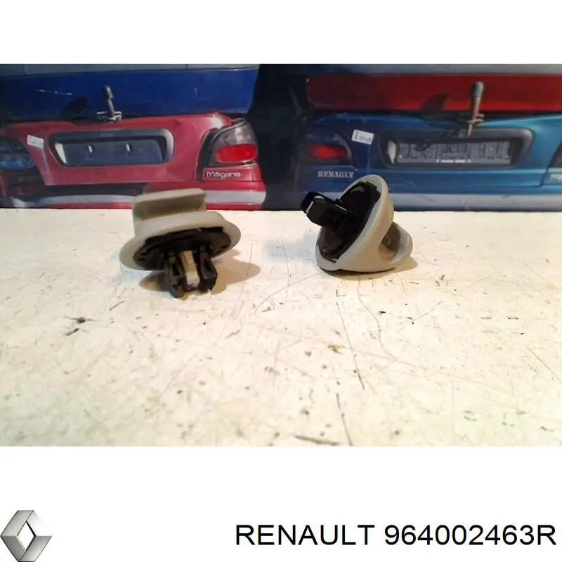 964002463R Renault (RVI)