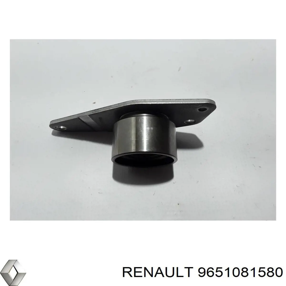 9651081580 Renault (RVI)