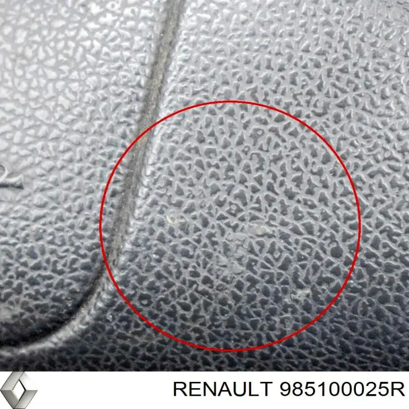 985100025R Renault (RVI) 