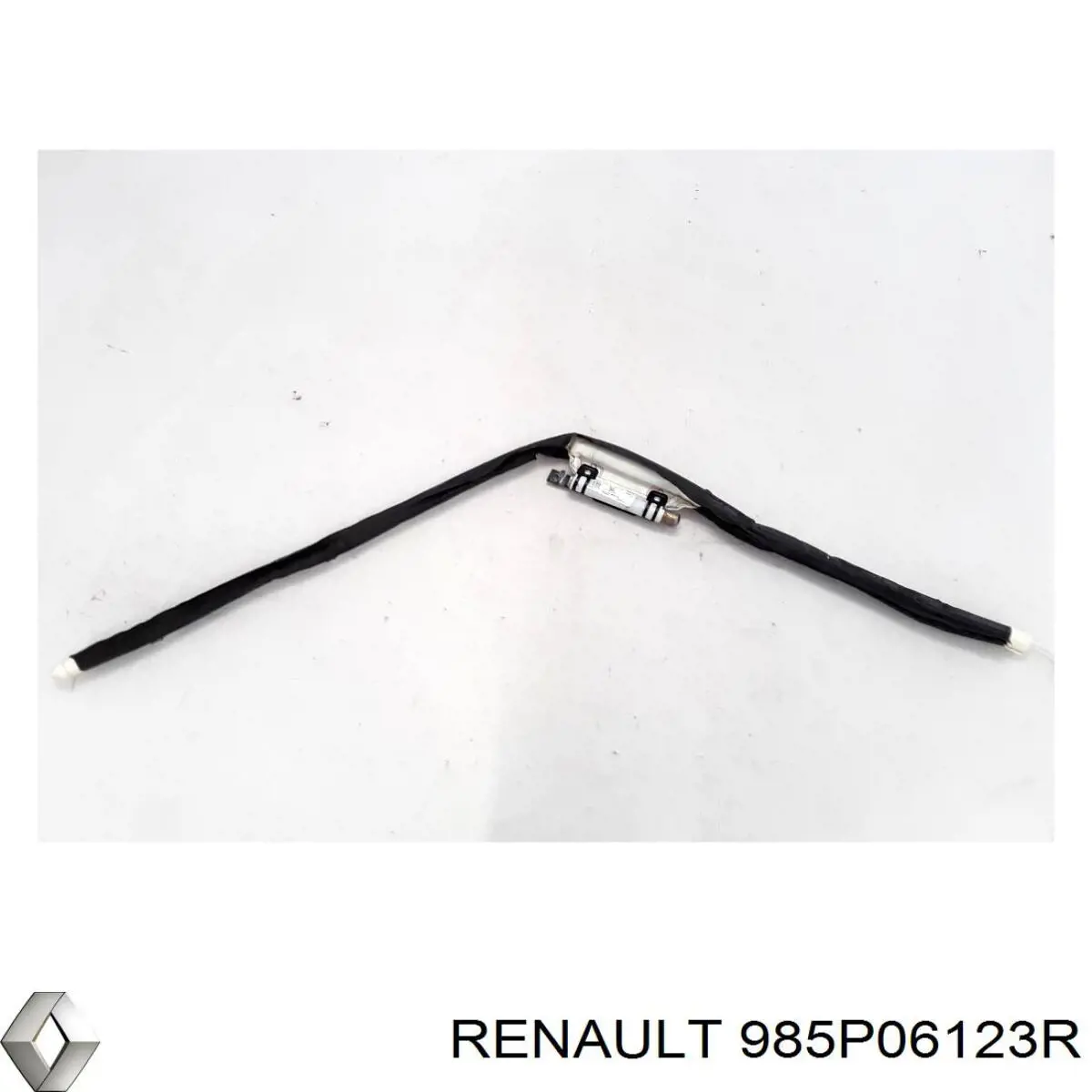 985P06123R Renault (RVI)