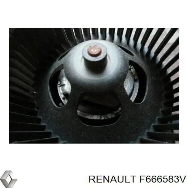 Comprar F666583V Renault (RVI) 