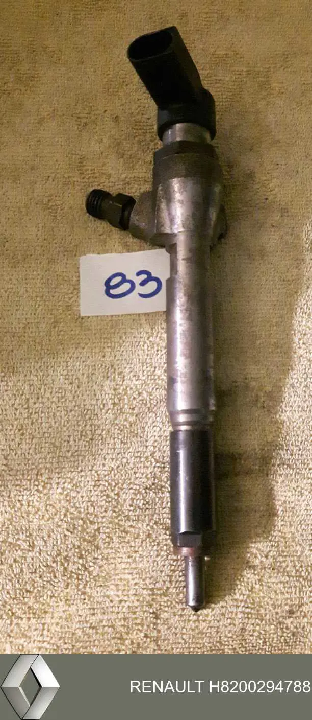 Inyector H8200294788 Renault (RVI)
