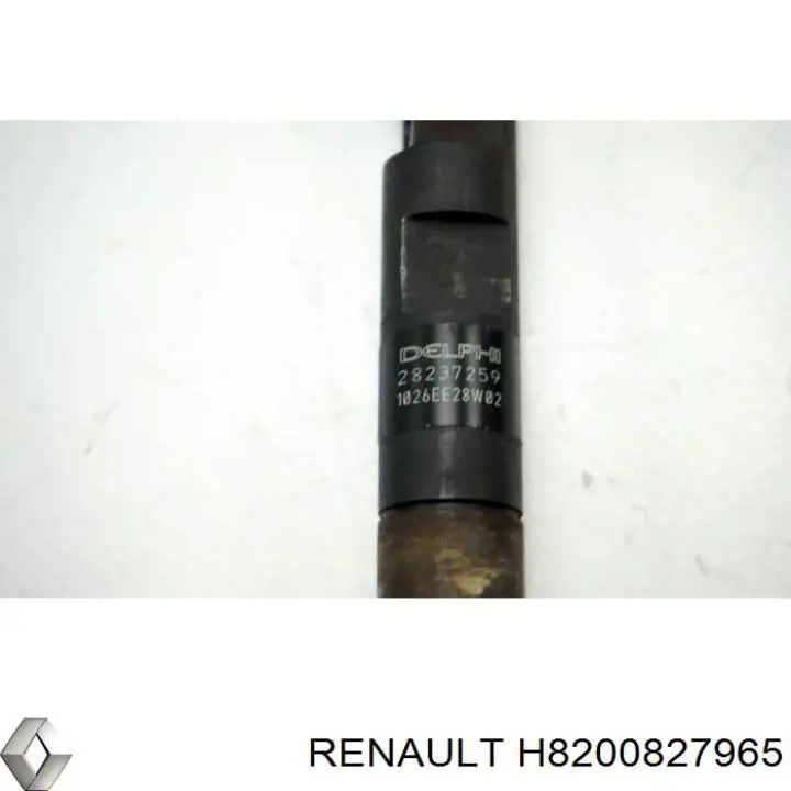 Inyectores Renault (RVI) H8200827965 precio, desde 152,46 EUR
