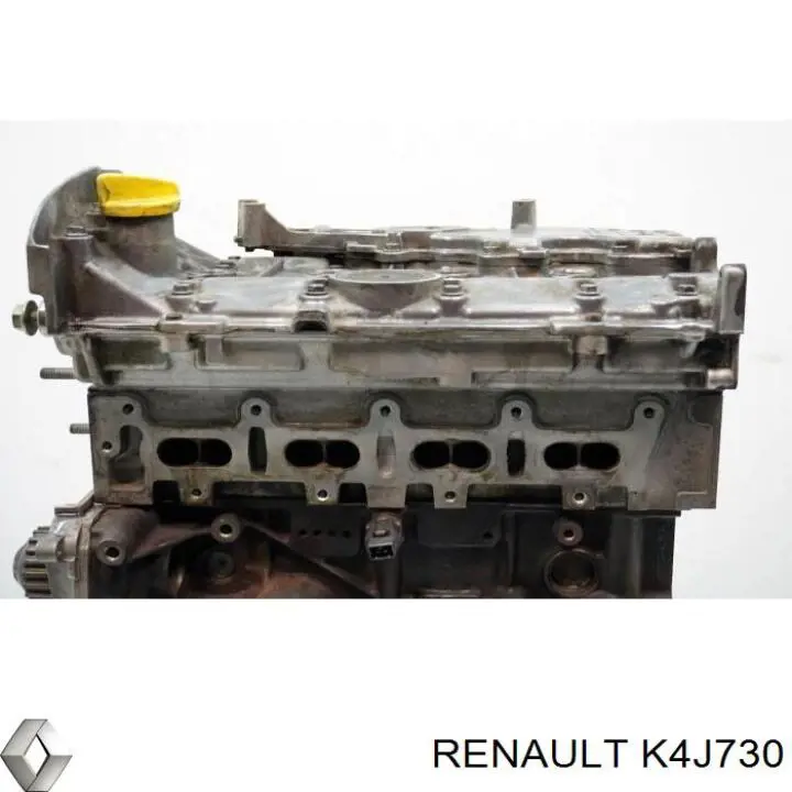 K4J730 Renault (RVI) Motor completo