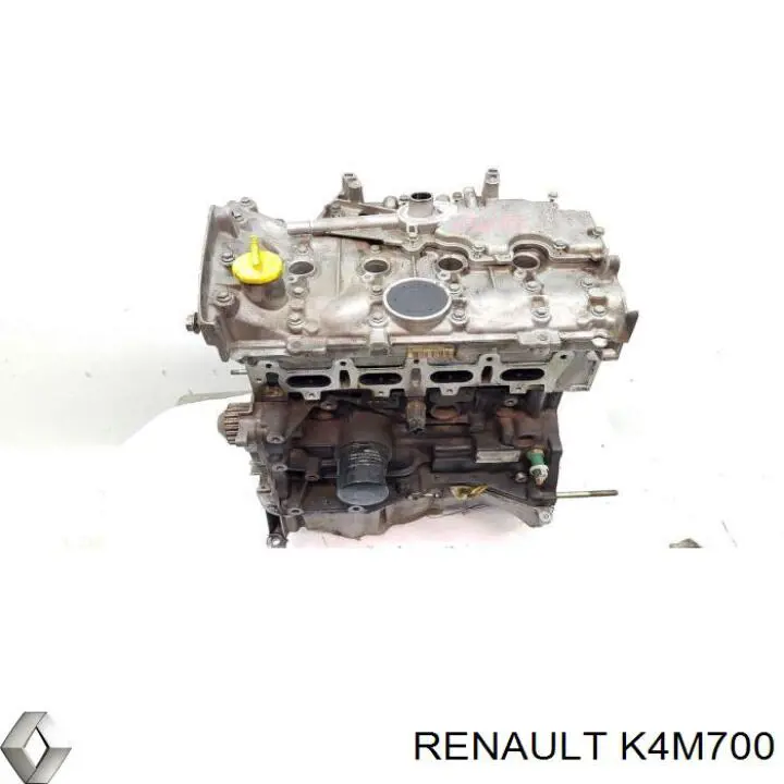 K4M700 Renault (RVI) motor completo