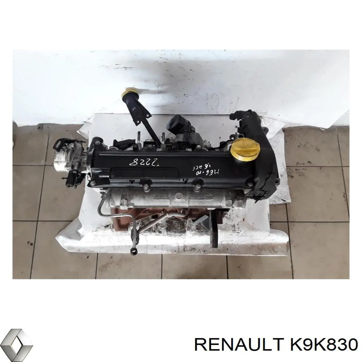 K9K830 Renault (RVI) Motor completo